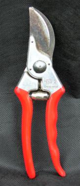 picture of secateurs
