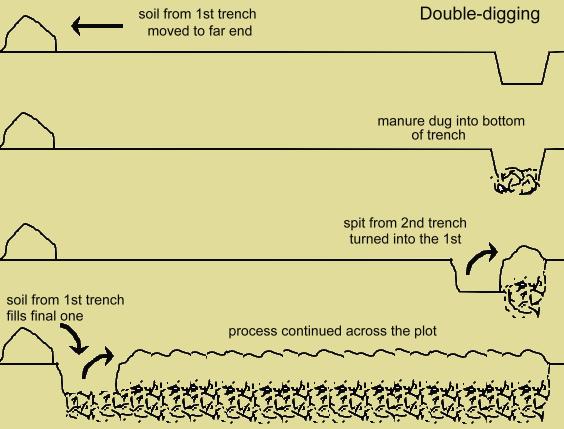 diagram of double-digging